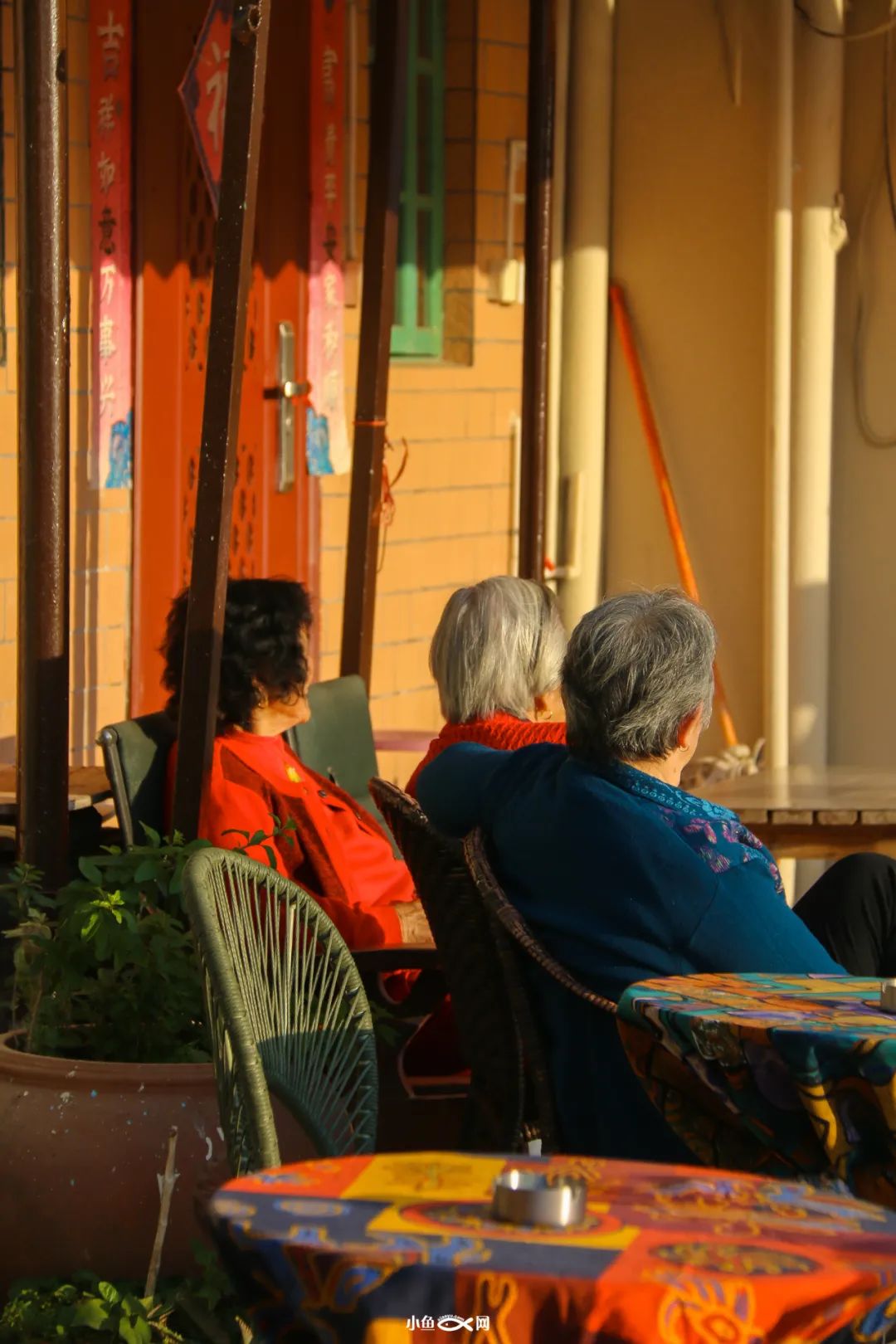 从百年渔港到网红地标!走进厦门最古老的港口,沙坡尾的40年...