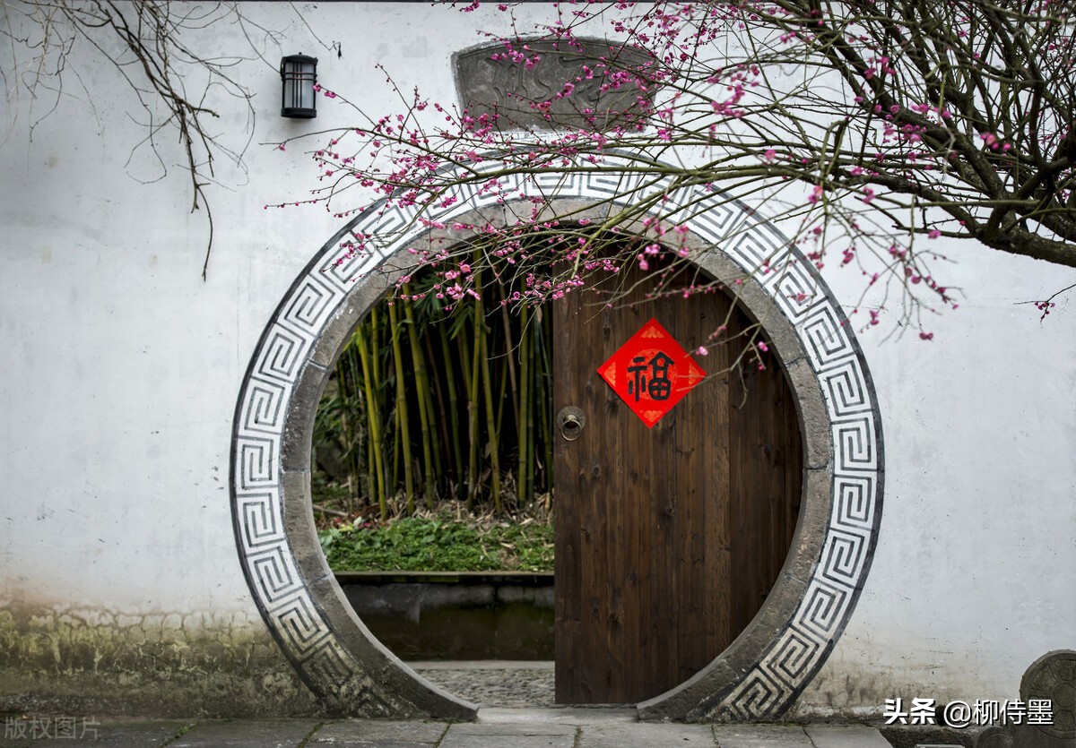 拍摄梅花多重曝光的技巧,拍摄梅花用什么镜头最好