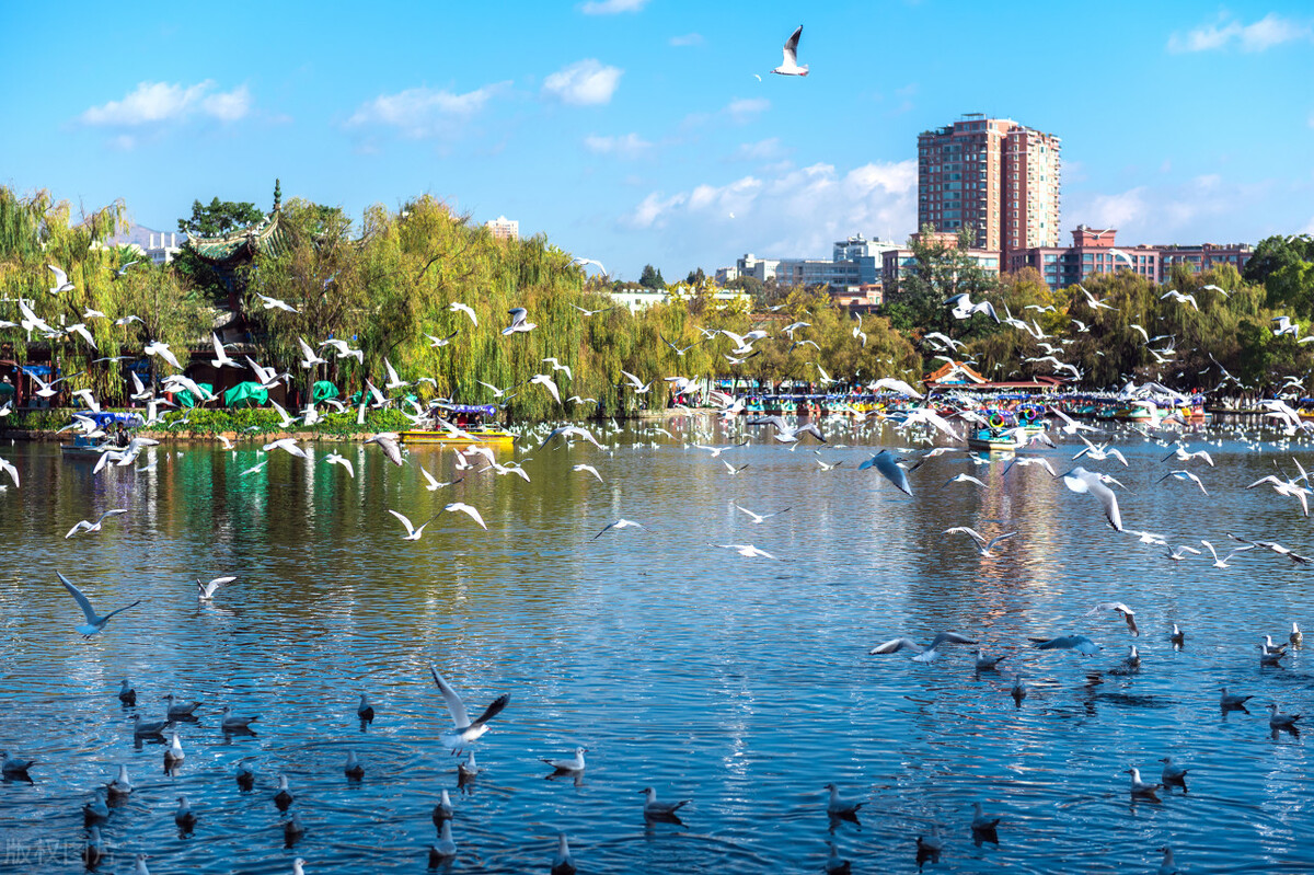 自驾从上海到昆明沿途旅游景点,大理和昆明之间有什么旅游景点