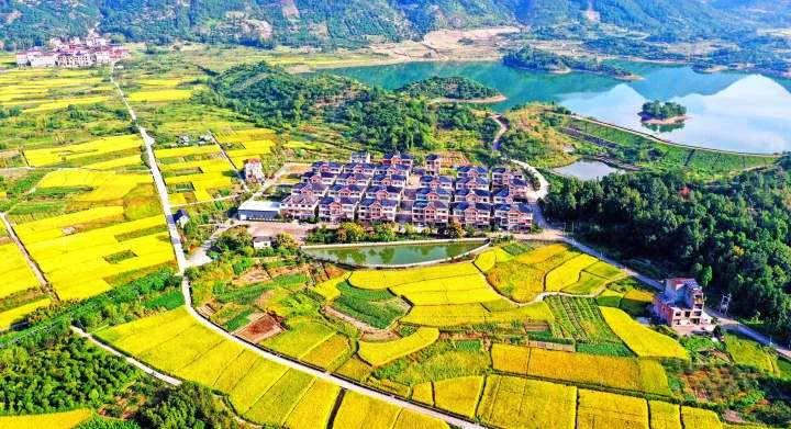 生活不止眼前的苟且，还有诗和远方的田野，困顿的时候来读田园诗