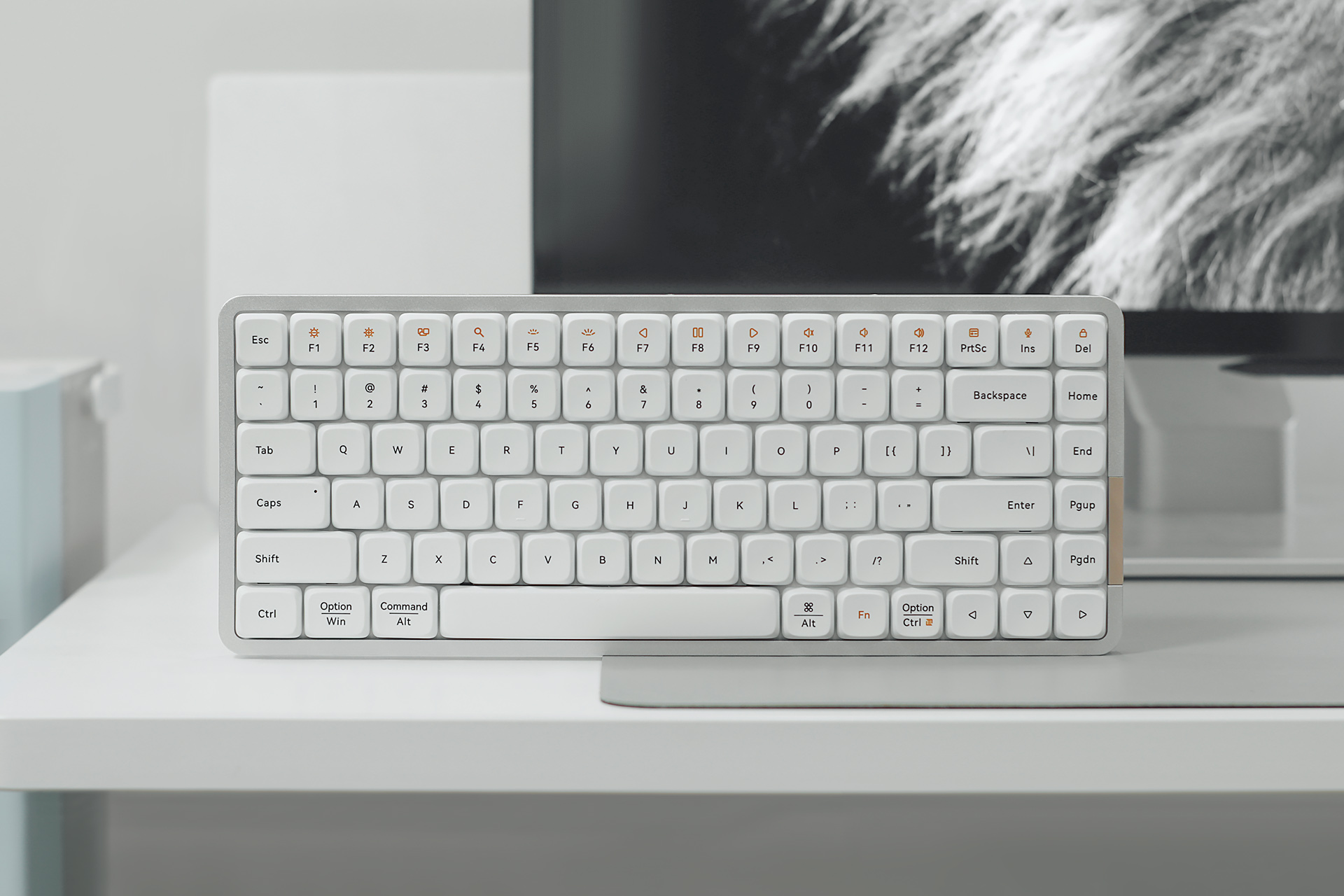 洛斐小顺键盘可以自己换轴体吗,洛斐小顺100矮轴机械键盘