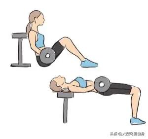 卷尾骨的功效,卷尾骨有什么好处