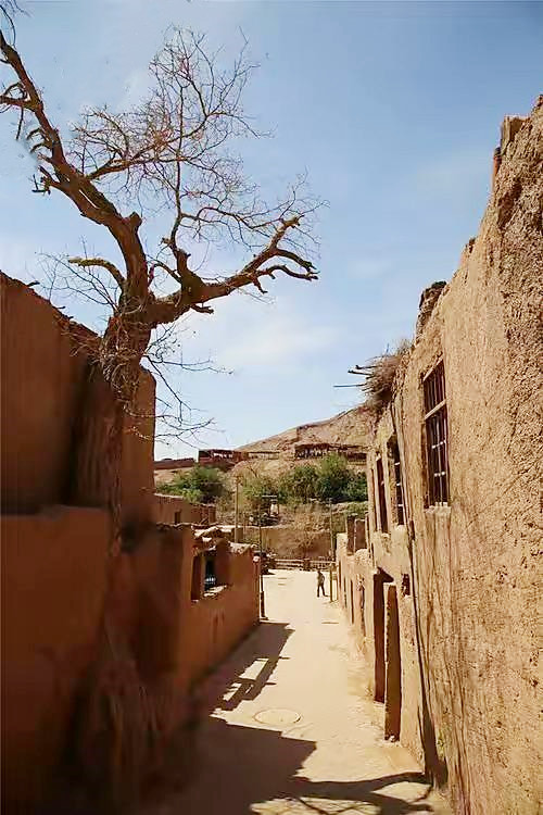 吐鲁番的葡萄南阳的梨,吐鲁番的葡萄哈密的瓜视频