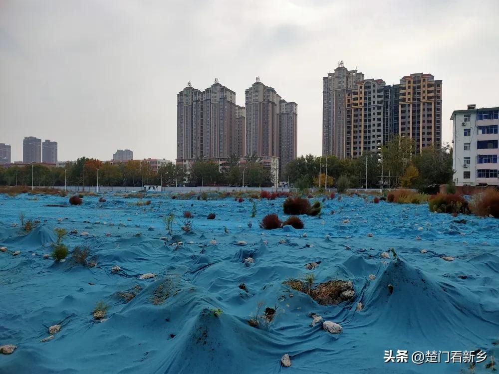 遗憾！激战多轮，新飞旧址另两宗地块还是流拍了