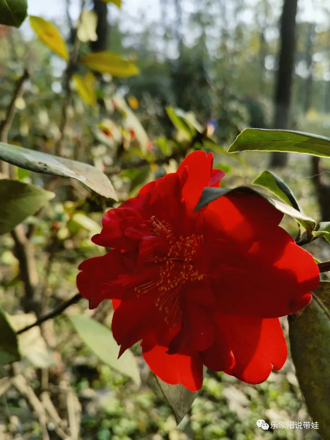 时间都去哪儿了小品完整版,时间都去哪儿了感悟