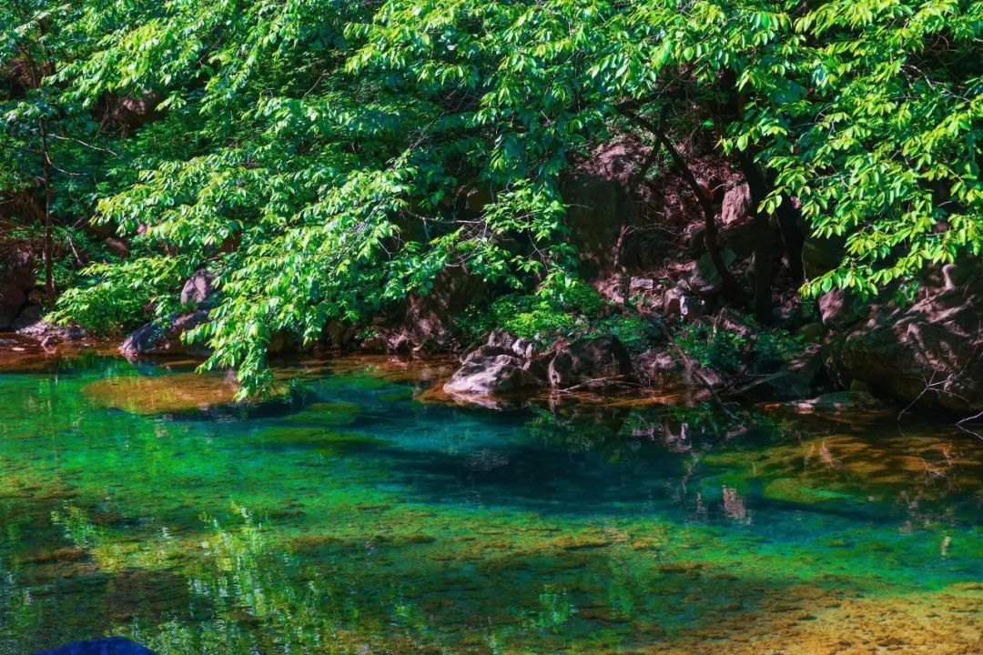 云台山深处自然美,云台山的风景真的很美