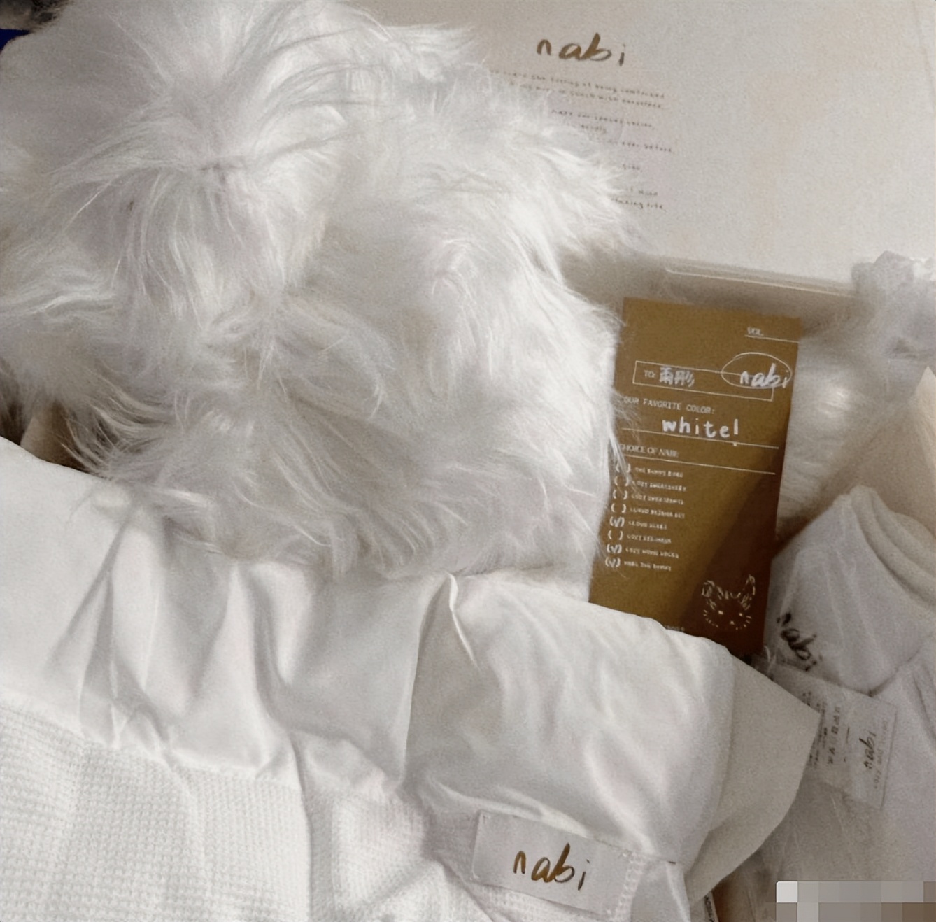 欧阳娜娜的自创品牌在哪里购买,欧阳娜娜发布自用品牌