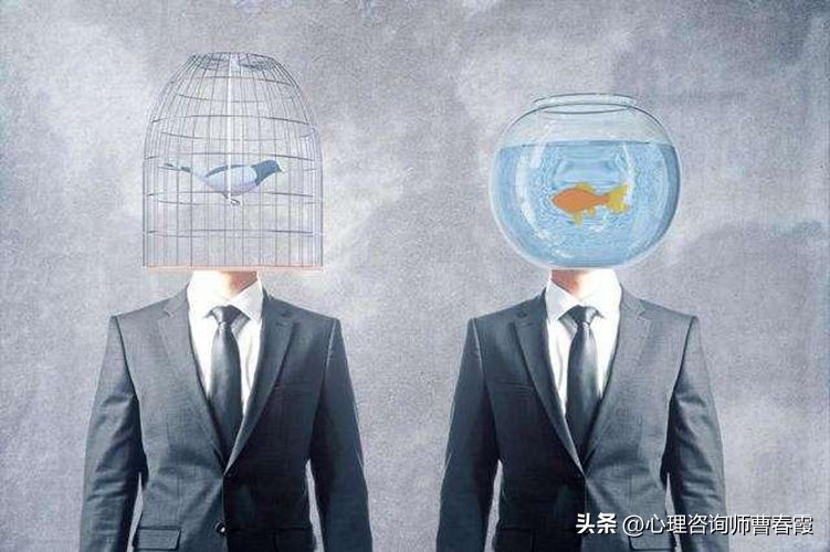 长期早醒失眠心理,睡不着失眠多年怎么办