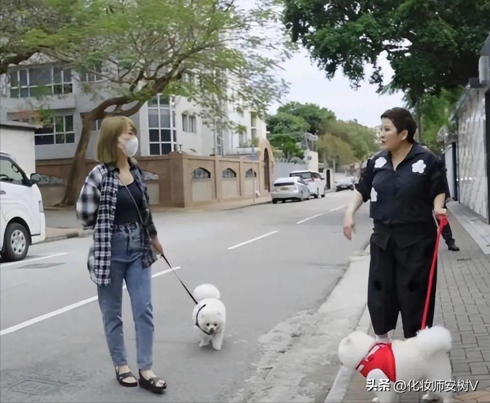 向太穿衣视频,向太遛狗