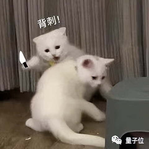 库克新版ipad,库克发布老款ipad