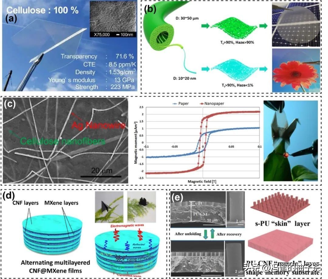 为何分级组织的天然衍生材料,是高性能生物纳米复合材料的候选?