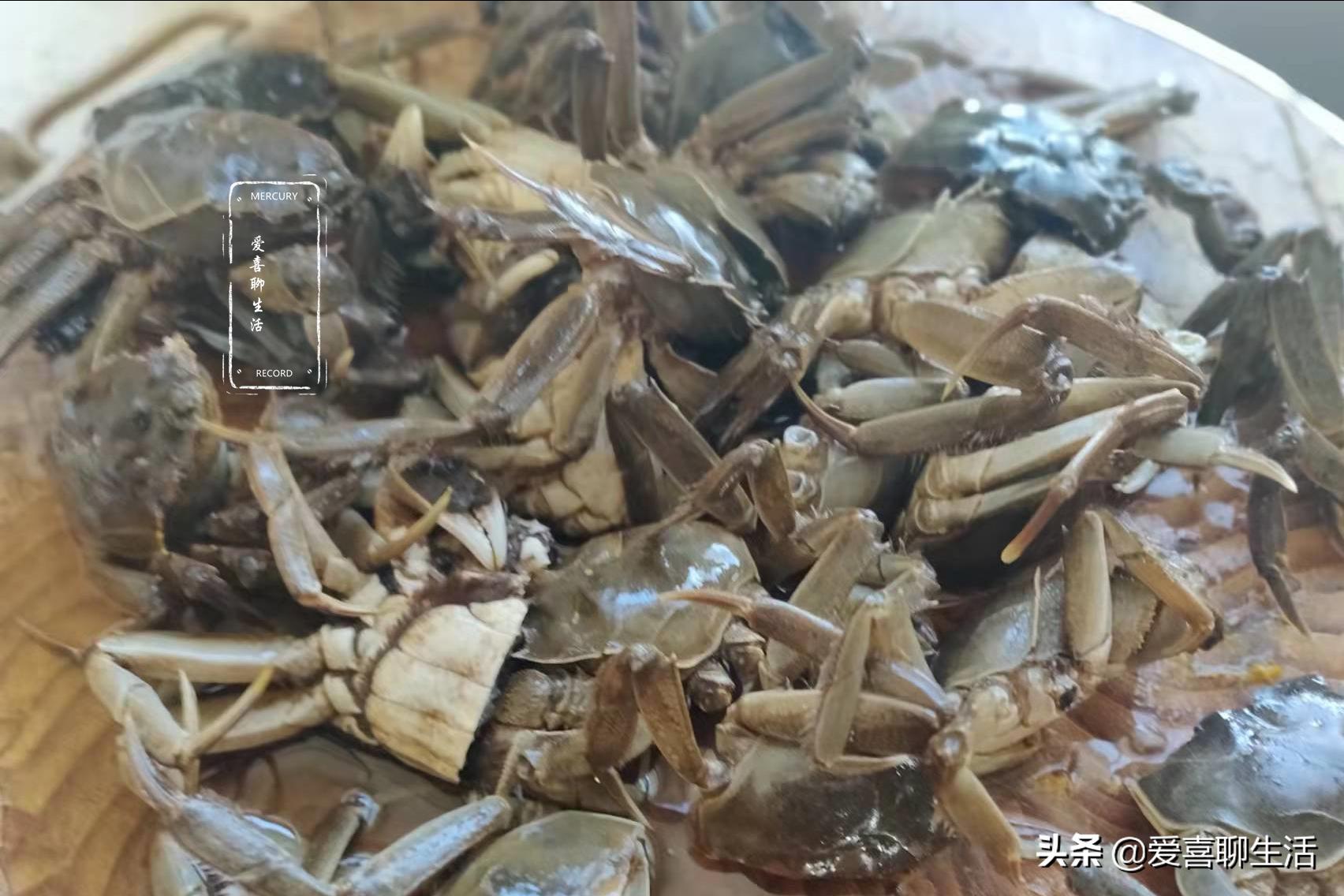 冬补鸡鸭肉没它好,肉质细嫩鲜美,炖一锅滋补又馋人,补虚又健体