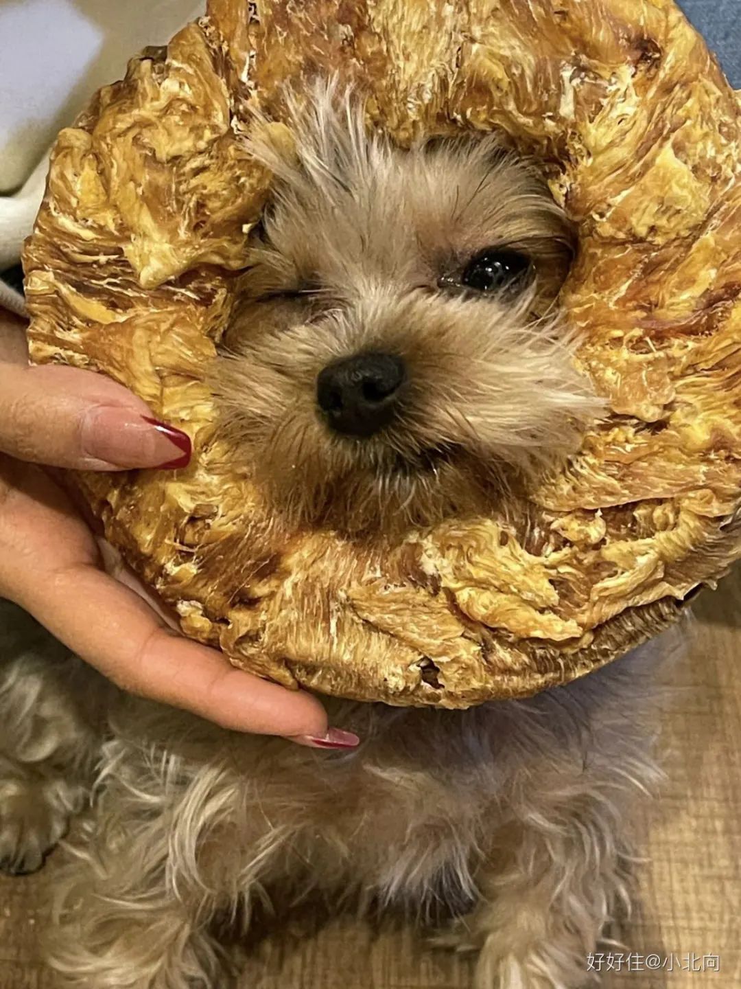 30个大无语事件,我全程憋笑看完