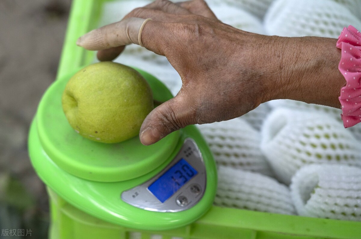 库尔勒香梨商标侵权赔款，委屈但违法，别和逍遥镇胡辣汤相提并论