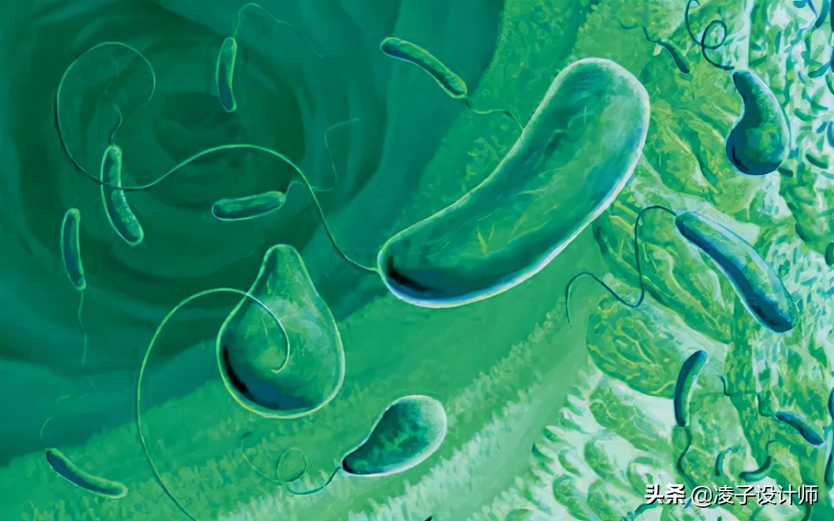 发达国家90%的人都在这样上厕所？国内却鲜有人知