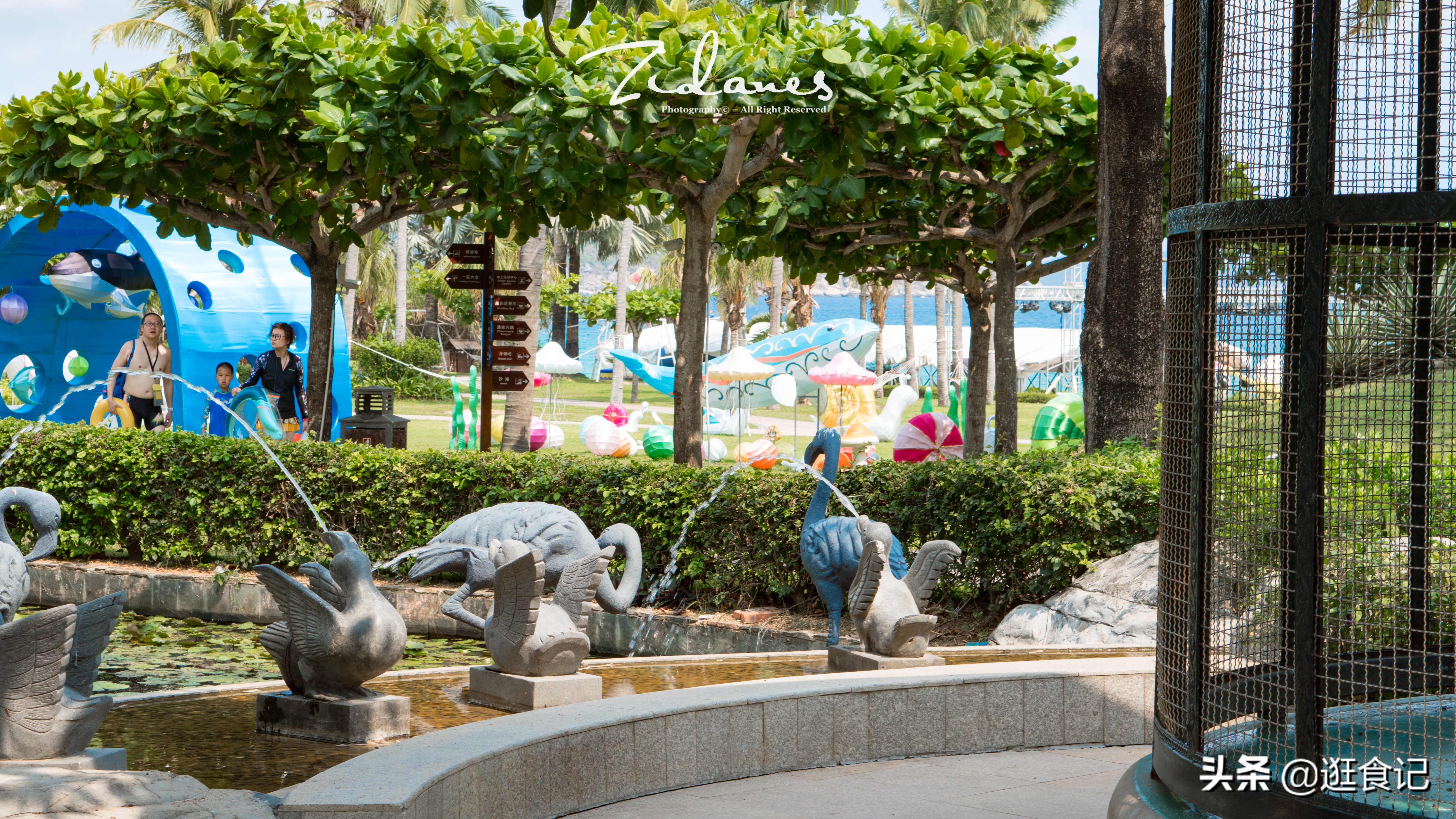 三亚亲子游亚龙湾天域酒店,亚龙湾天域和亚龙湾红树林