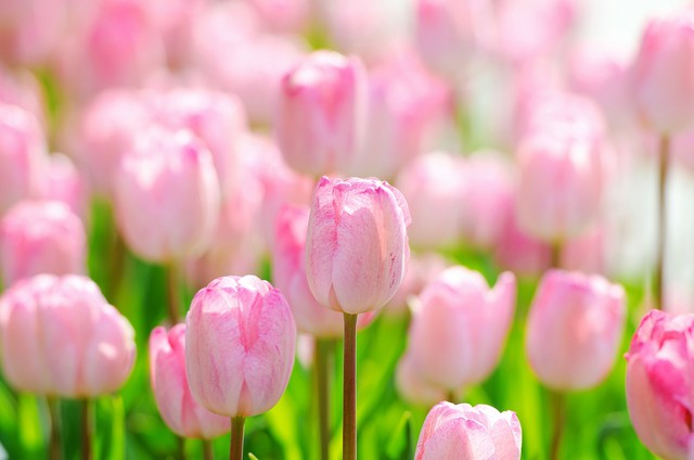 摔了之后肉疼,摔了之后的淤青