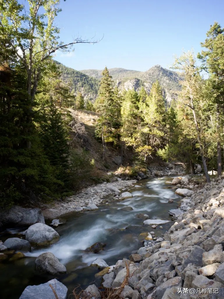 哈苏x2d100c视频,哈苏x2d100c与50c区别