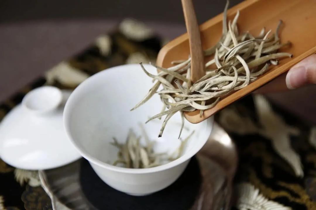 周劼喝二十万一斤的茶,南昌周劼白毫银针