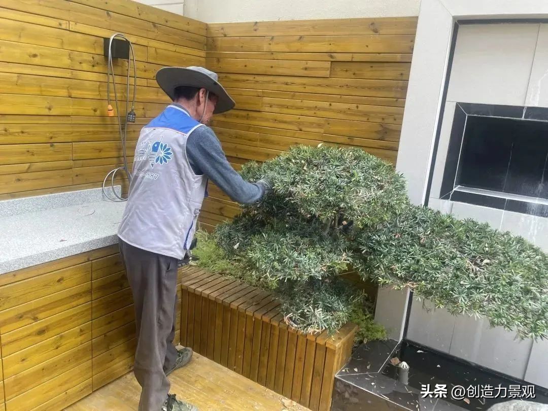 “满园春色”老客户回访日——最美人间四月天，不负*光春**不负你