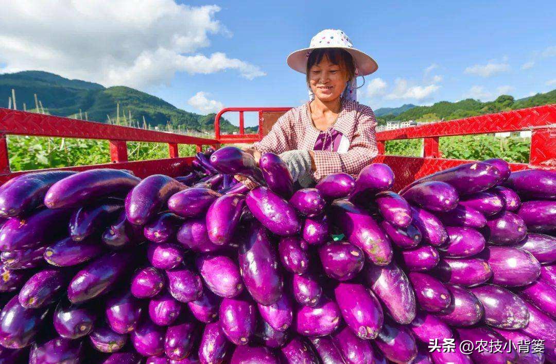 植物生长调节剂作用效果稳定原因,碧护生长调节剂药害