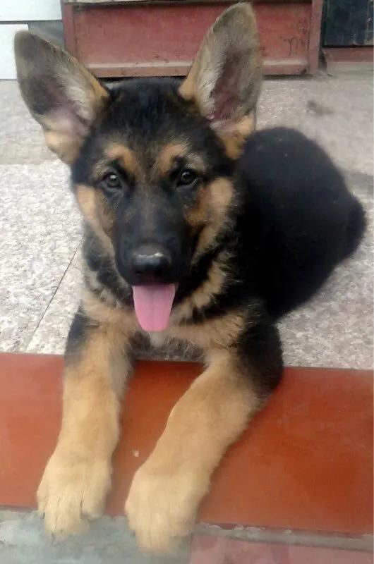 世上只有妈妈好爸爸也不错,世上只有妈妈好爸爸不好吗