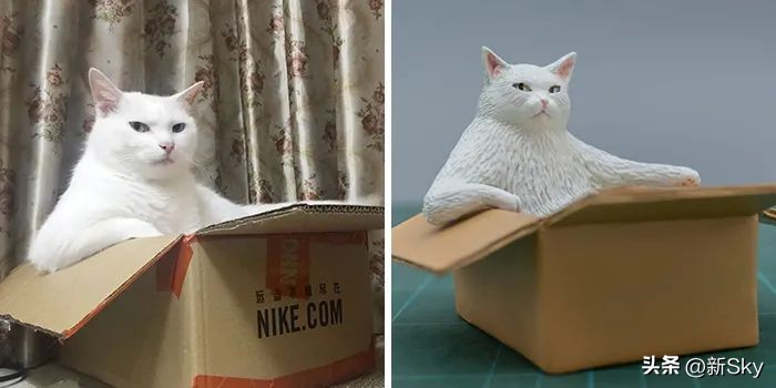 哈哈哈，这个神经手办又双叒更新了，笑惨我了