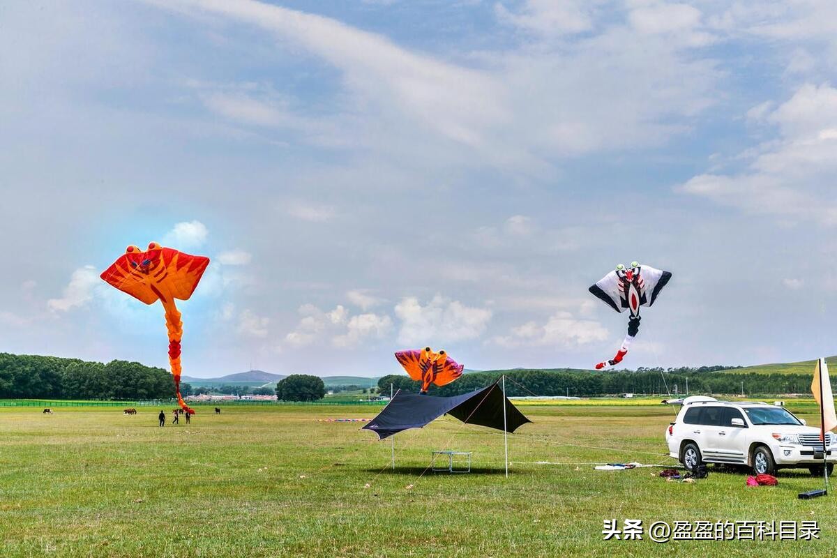 端午节的来历和习俗还有吃什么,传统节日端午节习俗详细介绍