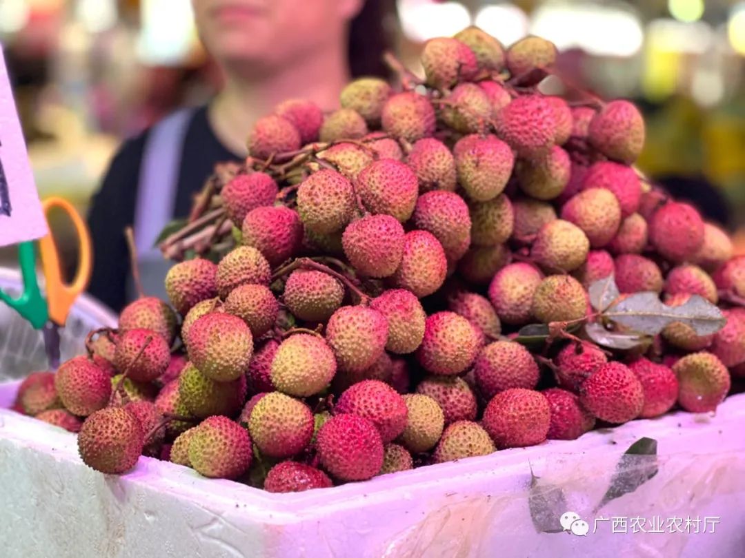 夏季有哪些水果上市,夏天上市的蔬菜有什么
