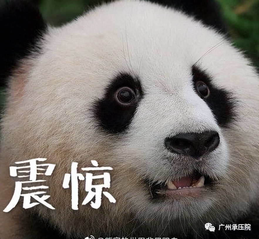 液化石油气钢瓶什么状态最危险,液化石油气钢瓶超储存有什么隐患