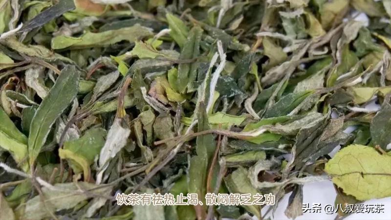 夏天越来越冷的时候适合喝哪些茶,夏天喝茶喝热的好还是喝凉的好