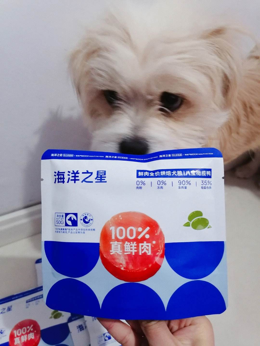 口碑最好十大狗粮推荐2021,低成本养狗16款平价狗粮推荐