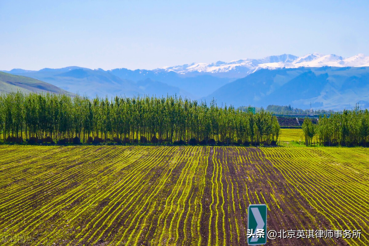 “以租代征”乱象四起，为防上当受骗，被征收人该如何辨别？