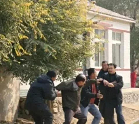 村民给母驴配种，公驴用力过猛弄死母驴，索赔1000元，闹到镇政府