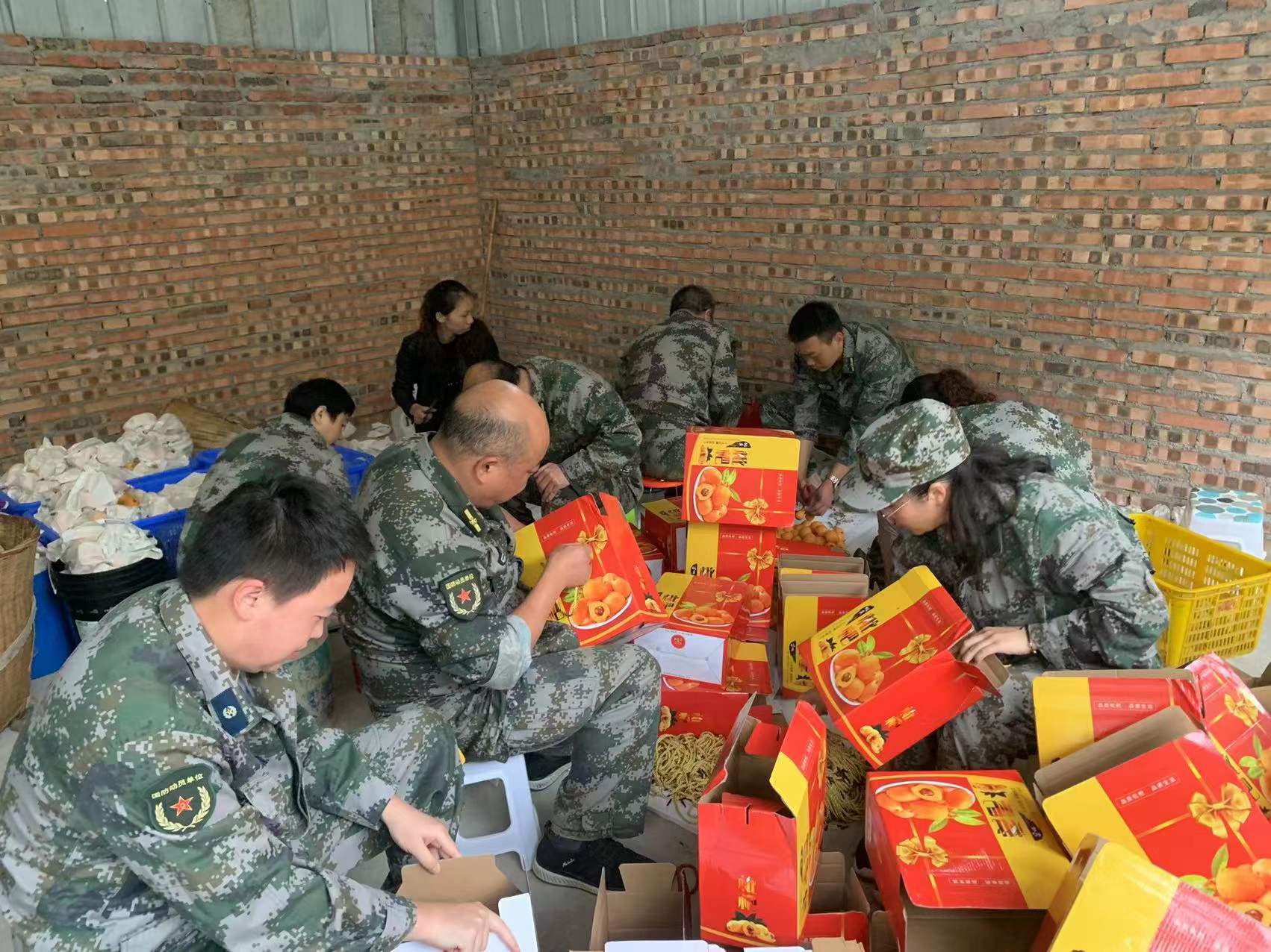 鍥涘窛闆呭畨鍦伴渿浜戝崡浜烘敹鏋囨澐,璧堢伨瀹濆叴鏋囨澐