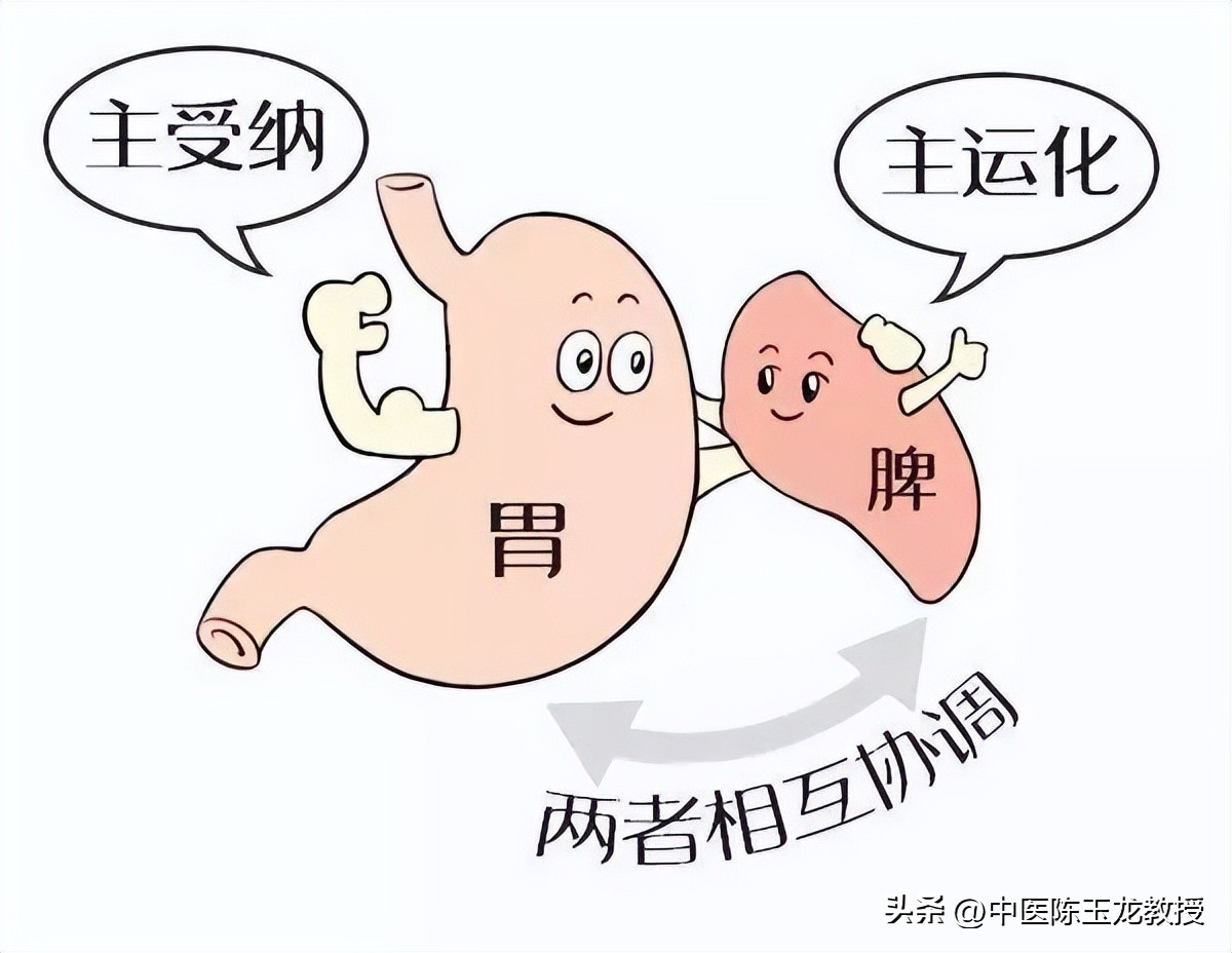 逍遥丸搭配什么对结节和肌瘤好,逍遥丸和什么搭配能软坚散结