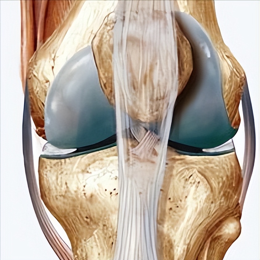 富血小板血浆因子作用,富血小板血浆治疗的目的和意义