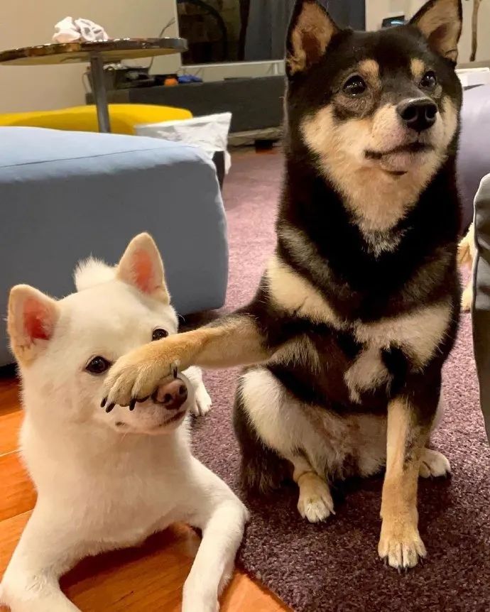 闭不上嘴的搞笑图片,20张搞笑图片大晚上笑得我肚子疼