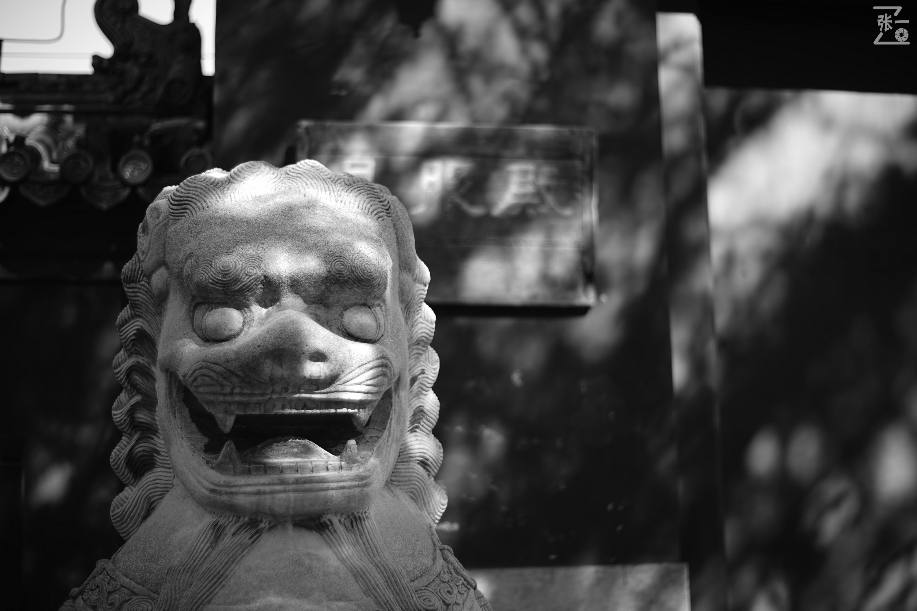 老镜头实拍,老镜头拍北京