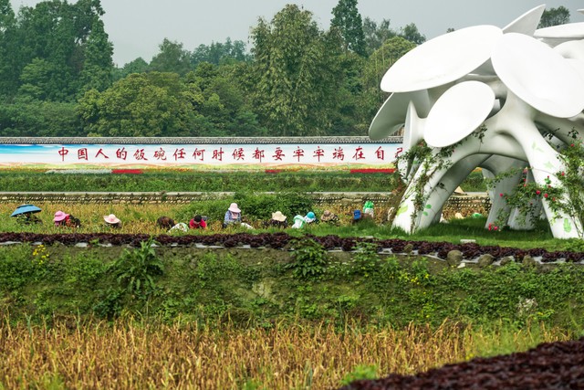 2023年农业农村部重点扶持,乡村振兴2023扶持有哪些项目