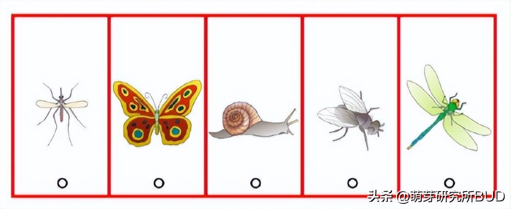 分析完1-6年级的思维考级卷，我想告诉你思维培养的秘密
