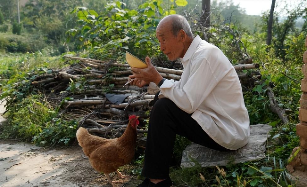 一老人在粮库放老鼠夹时捡到个金牌，儿媳妇:别声张，拿去打耳环