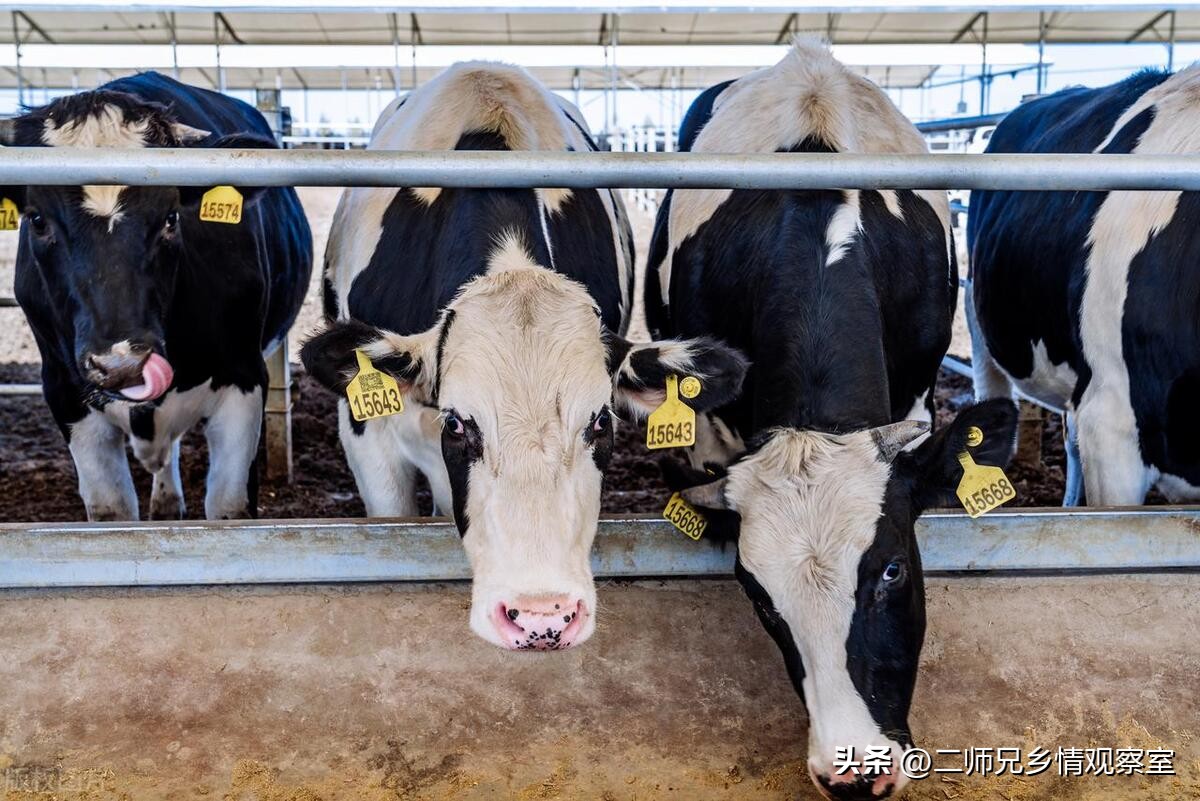 陕西畜牧业养殖补贴政策,畜牧业养殖补贴需要什么部门负责