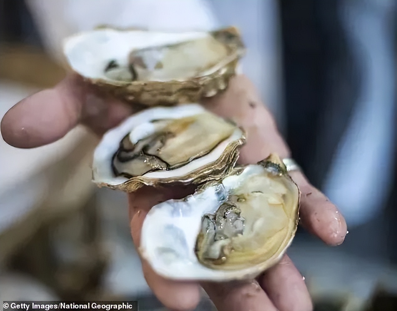 澳洲深海海鲜,澳洲海鲜如何挑选