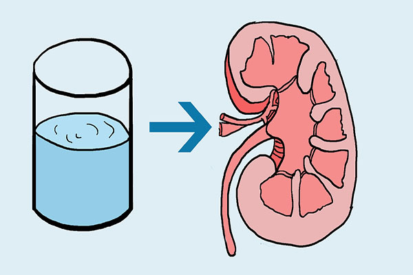 从肾炎到尿毒症最快几年,从慢性肾病到肾衰需要多长时间