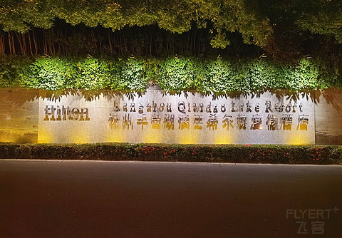 希尔顿酒店各品牌定位,希尔顿中国酒店排名