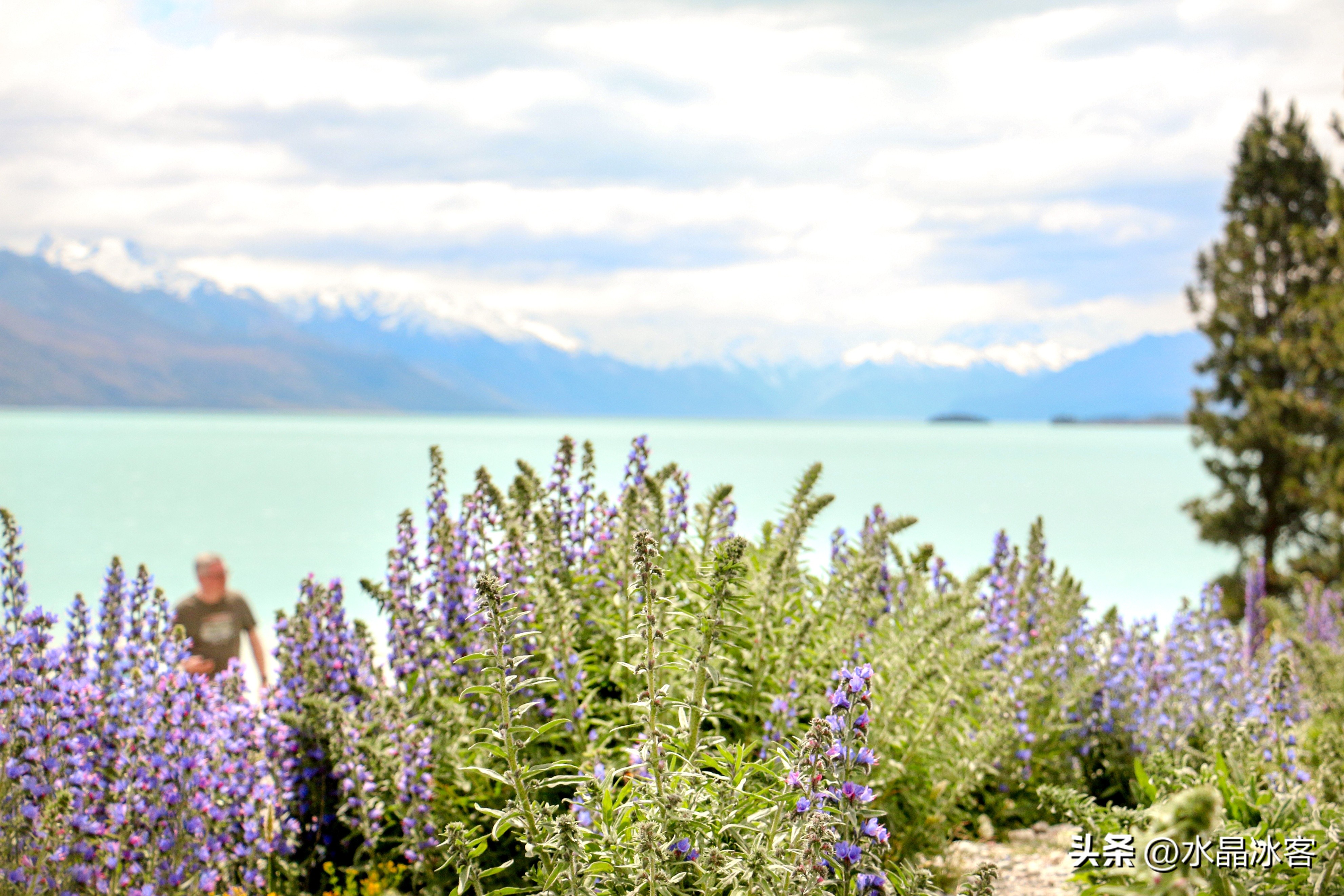 南岛新西兰之旅,新西兰之南岛