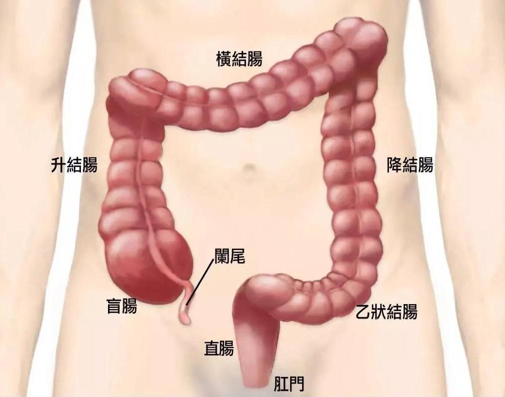 情侣间的“灌肠游戏”影响身体健康吗？听听医生怎么说