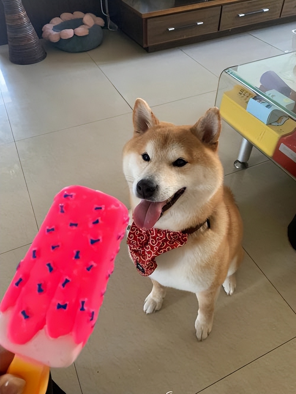 狗狗有泪痕应该怎么去除,狗狗有泪痕应该怎么处理