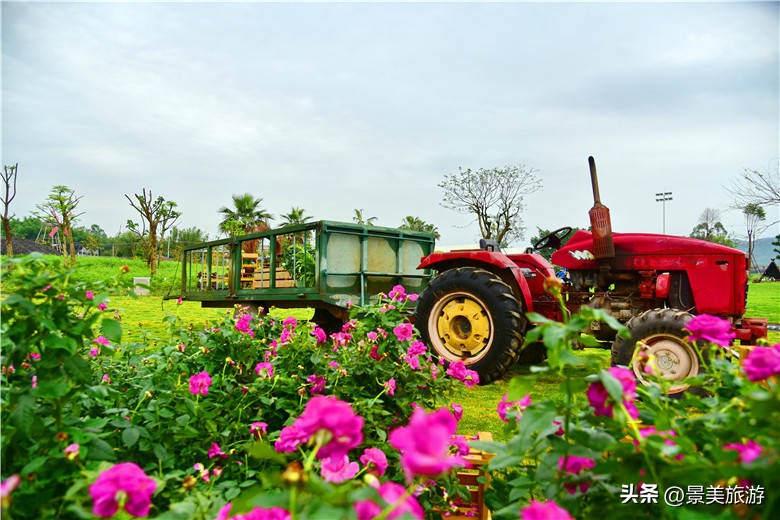 一壶围炉煮茶月引客上万人，佛山旺林艺术花园将网红项目变现
